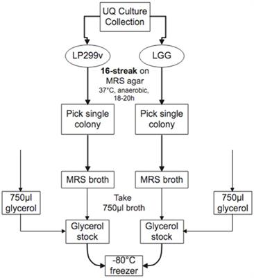 Impact of baby spinach as a carrier for the development of sustainable probiotics prior to consumption
